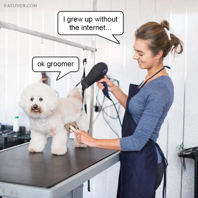 Boomer groomer meets gen Z dog.