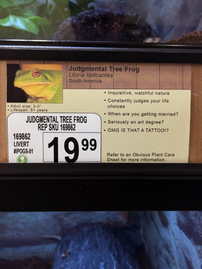 Funny pet store animal description.