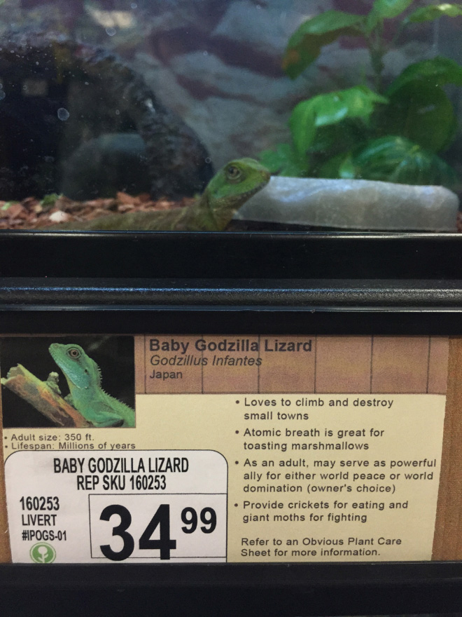 Funny pet store animal description.