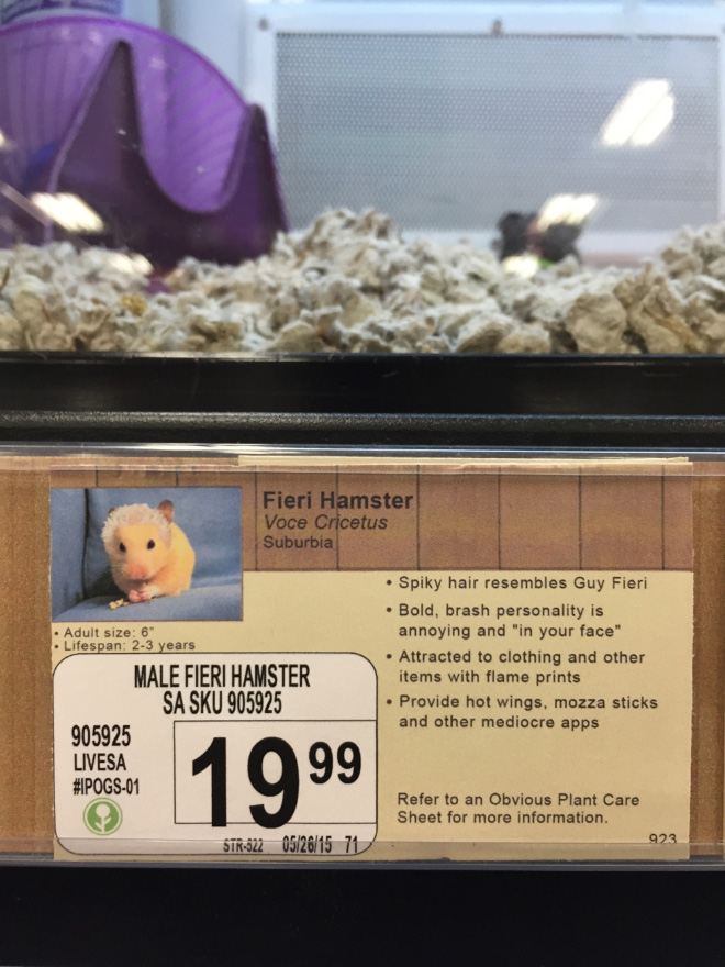 Funny pet store animal description.