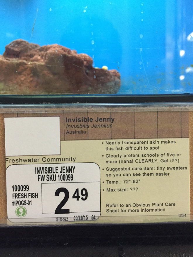 Funny pet store animal description.