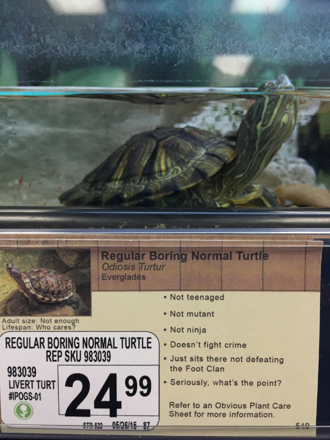 Funny pet store animal description.