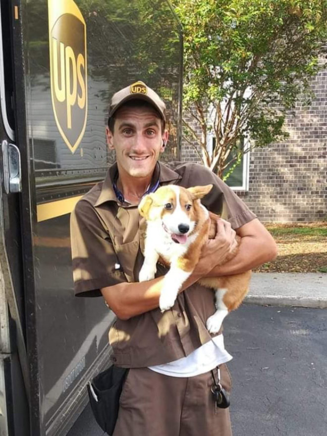 UPS drivers sometimes meet dogs along their daily route...
