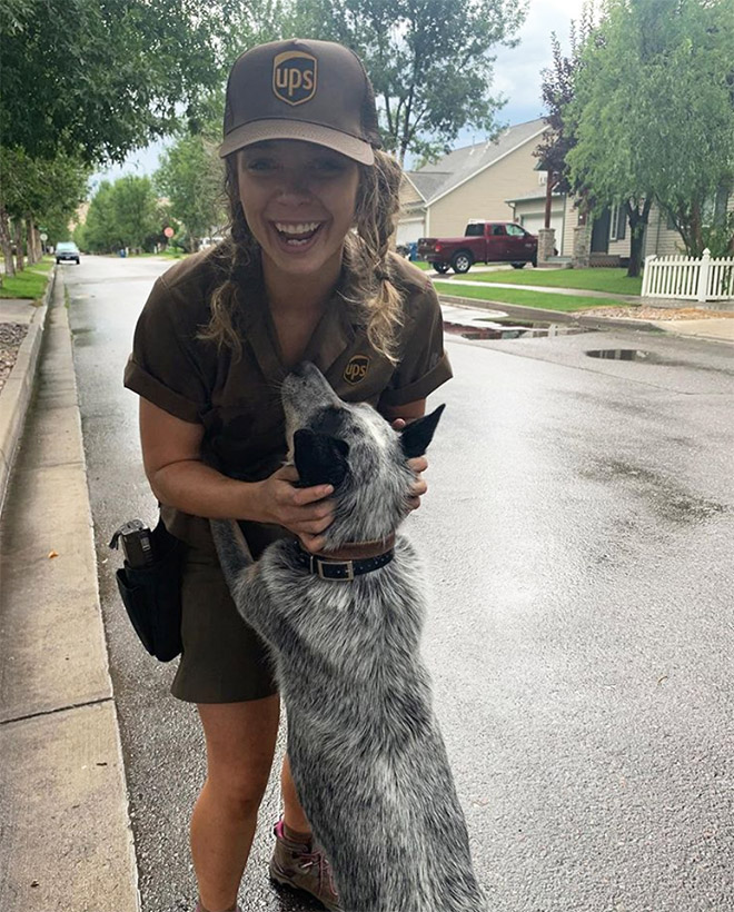 UPS drivers sometimes meet dogs along their daily route...