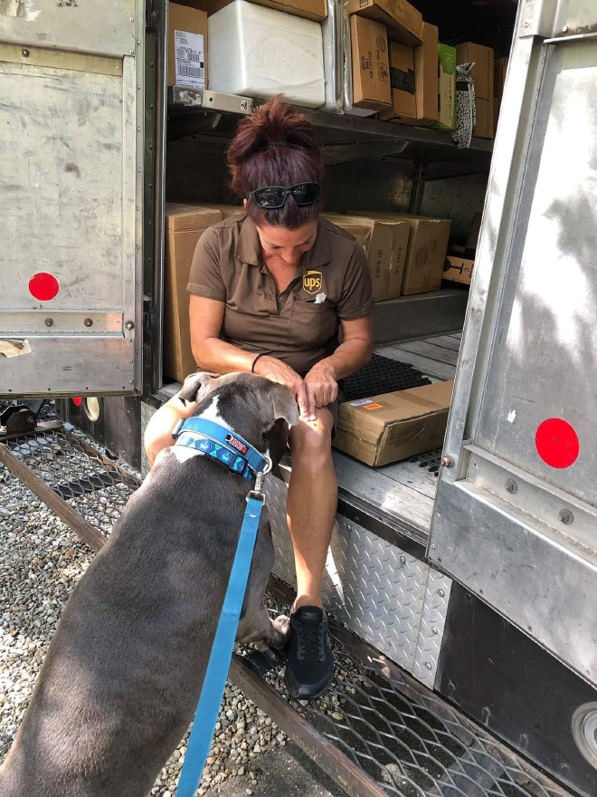 UPS drivers sometimes meet dogs along their daily route...