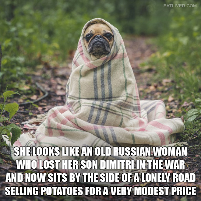 Babushka dog.