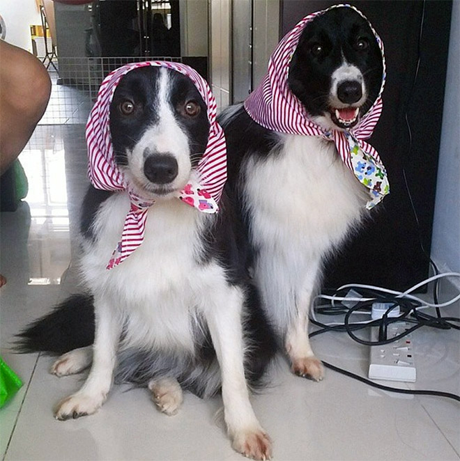 Babushkas.