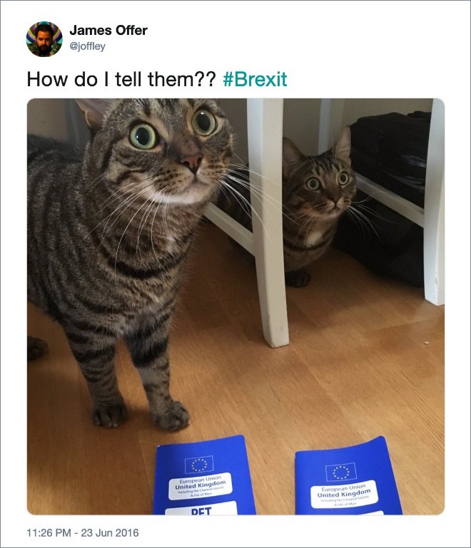 Brilliant #Brexit tweet.