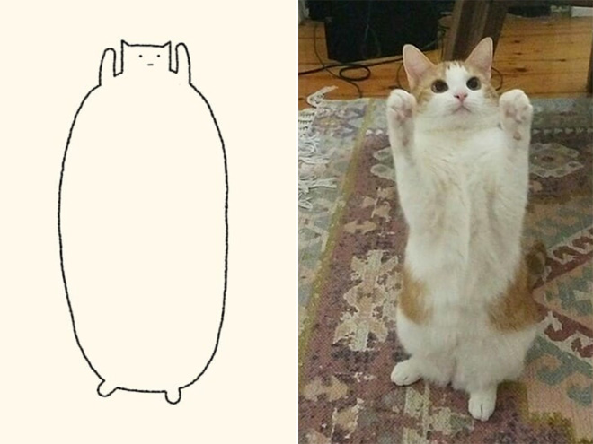 Very accurate drawing of a cat.