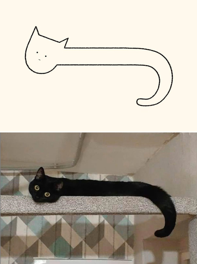 Very accurate drawing of a cat.