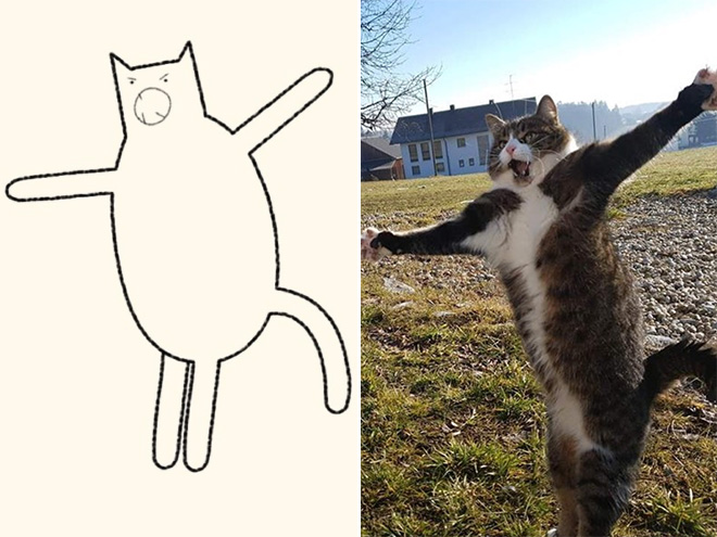 Very accurate drawing of a cat.