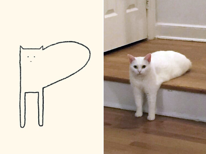 Very accurate drawing of a cat.