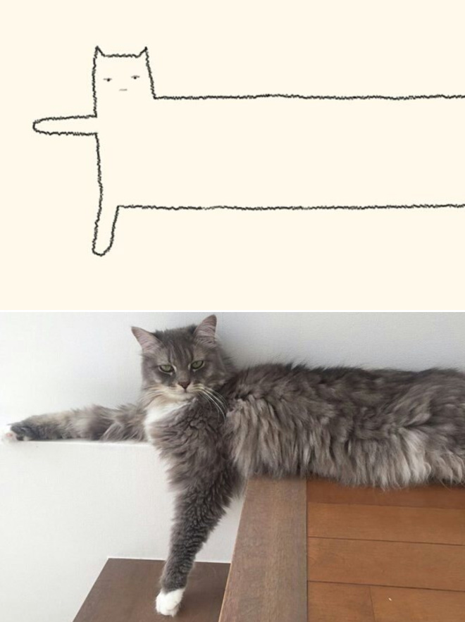 Very accurate drawing of a cat.