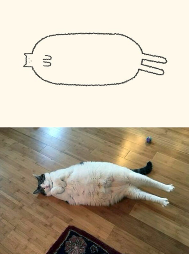 Very accurate drawing of a cat.