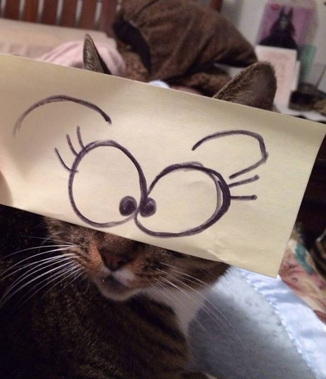 Cartoon eyes look hilarious on a cat.