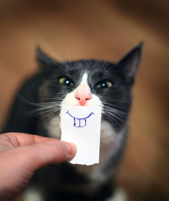 Cats with cartoon mouths are the best cats.