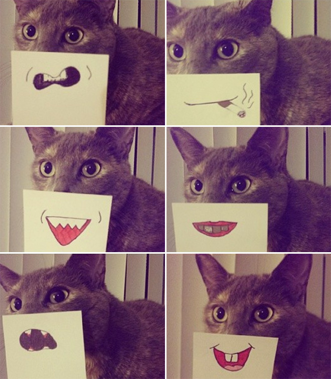 Cats with cartoon mouths are the best cats.