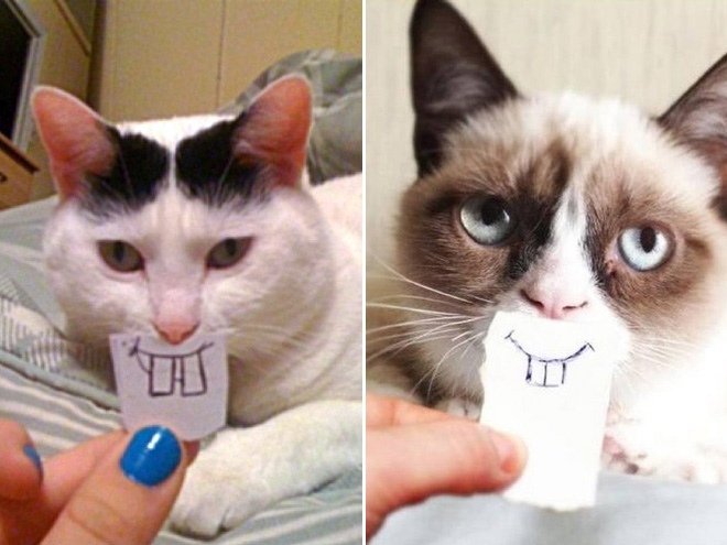 Cats with cartoon mouths are the best cats.