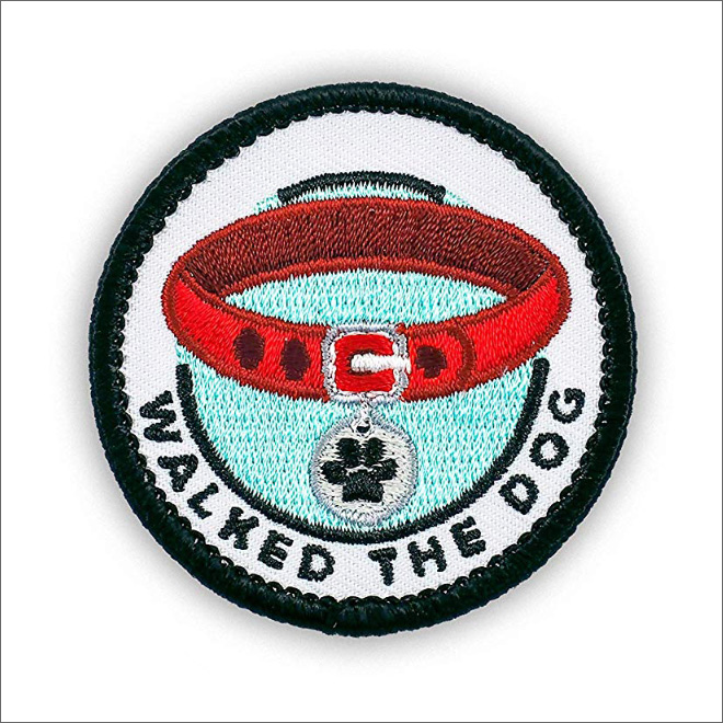 Merit badge for an adult.