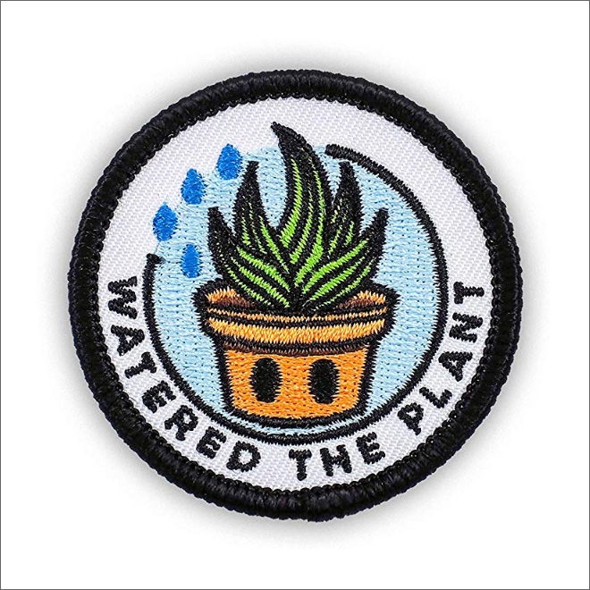 Merit badge for an adult.