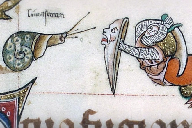 Knights really loved fighting snails in medieval books.
