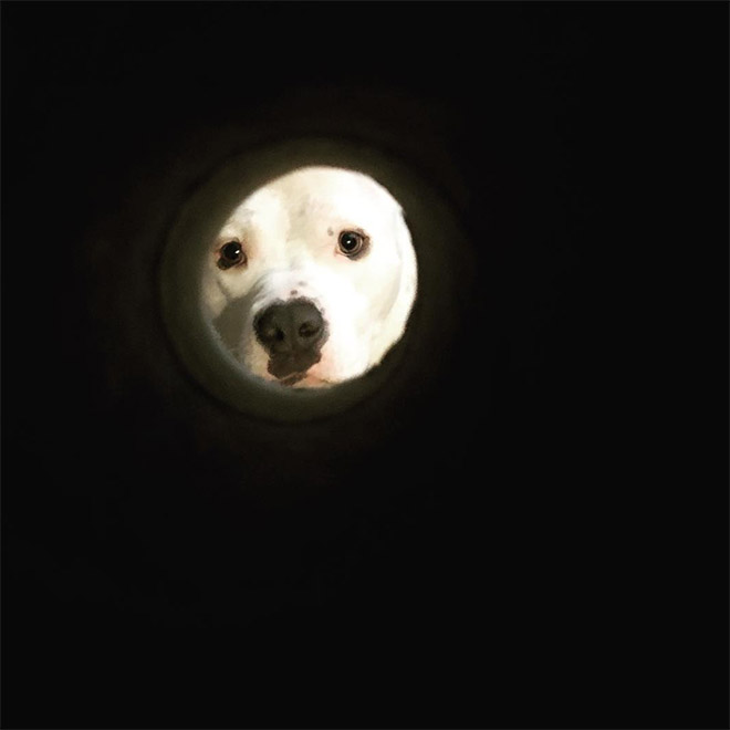 Taking a selfie through toilet paper roll will make you look like the Moon.