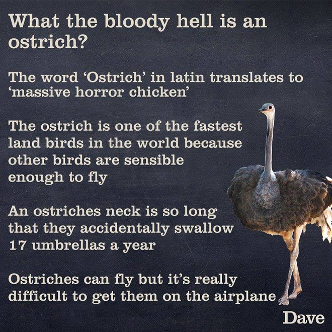 Proper description.