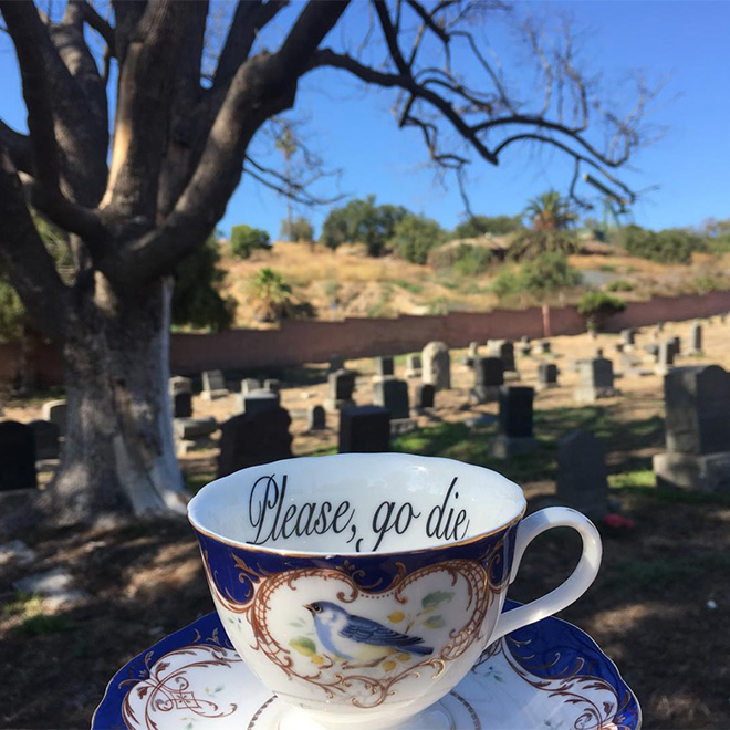 Funny rude teacup to insult your guests.