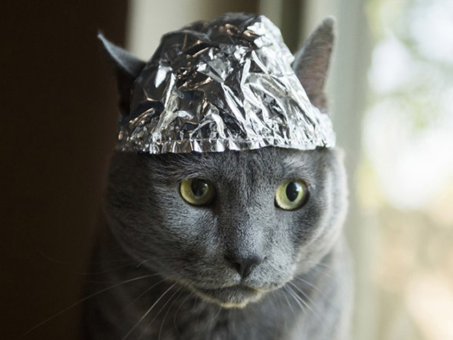 Tin foil hat protects from mind control!