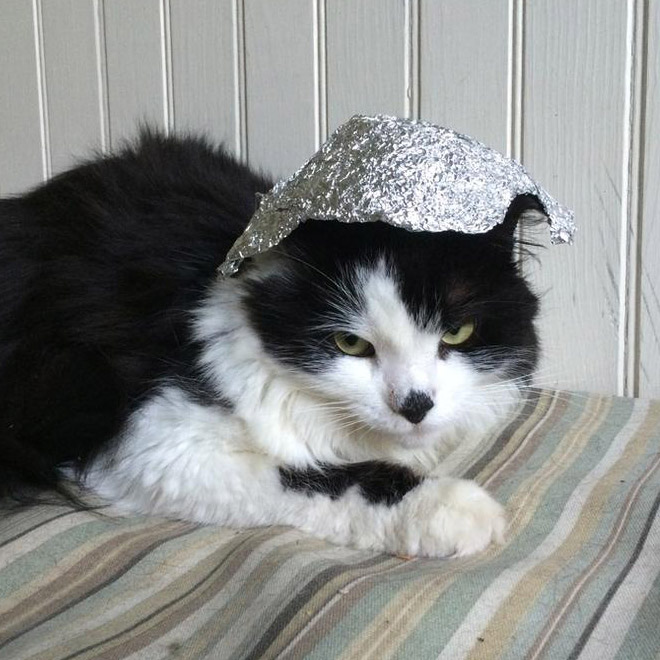 Tin foil hat protects from mind control!