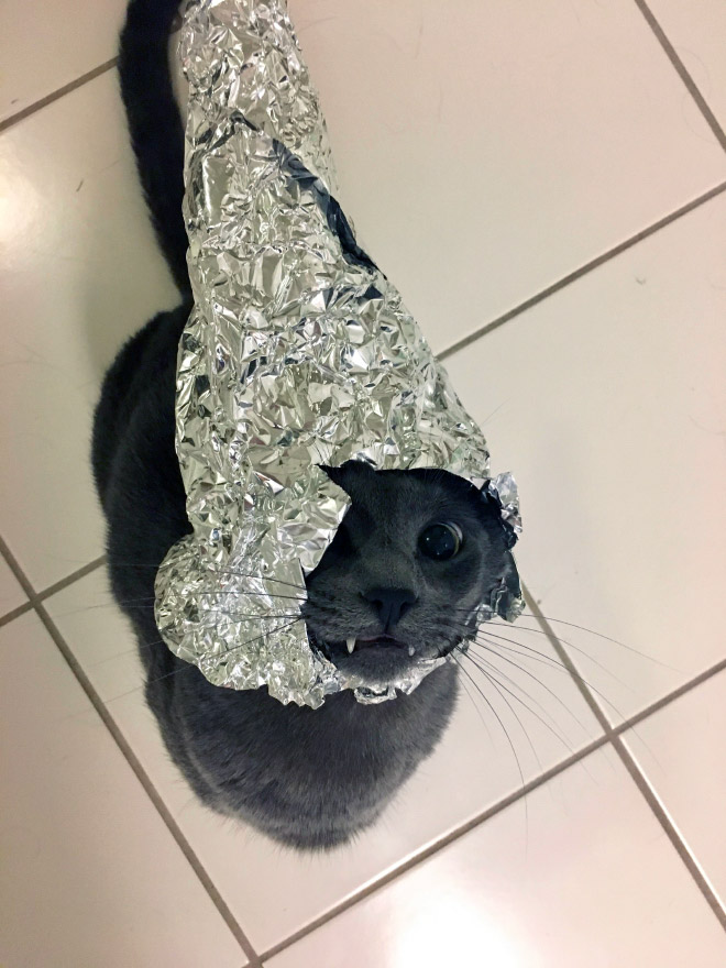 Tin foil hat protects from mind control!