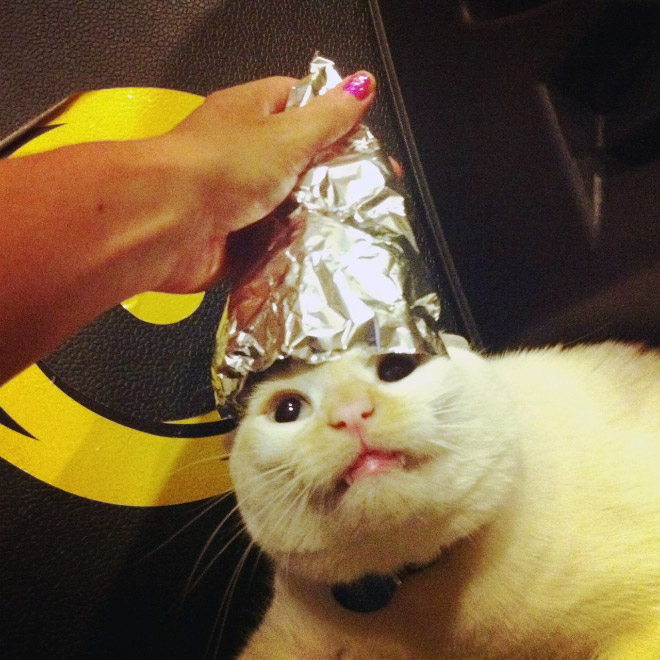 Tin foil hat protects from mind control!