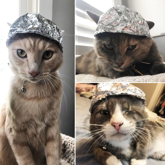 Tin foil hat protects from mind control!