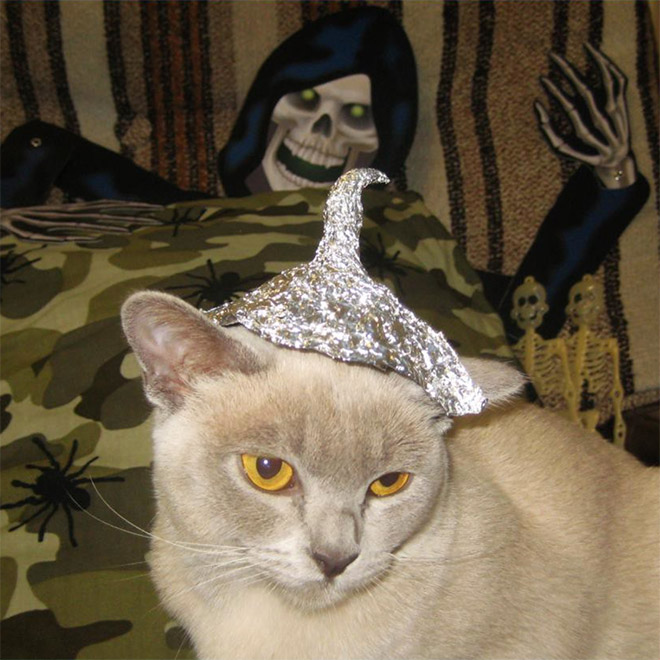 Tin foil hat protects from mind control!