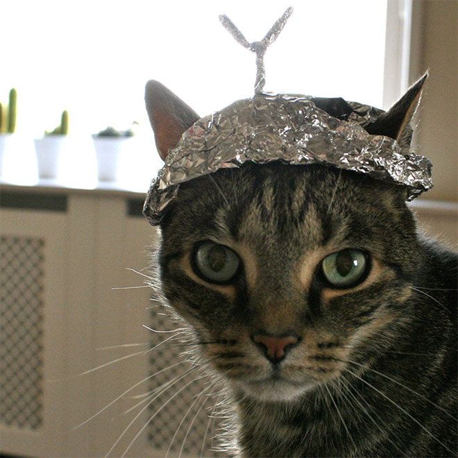 Tin foil hat protects from mind control!