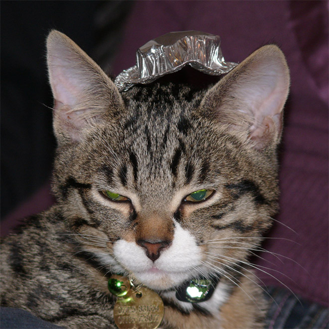 Tin foil hat protects from mind control!