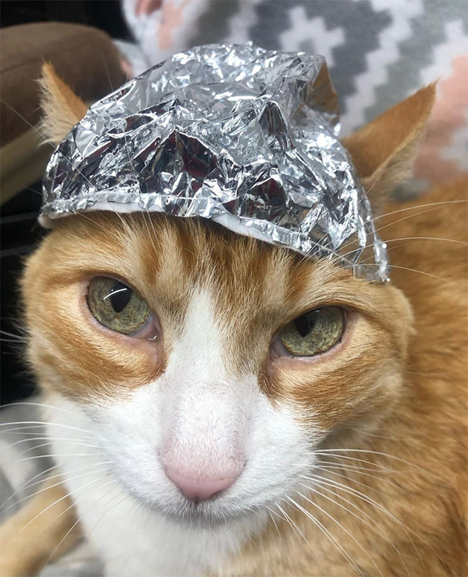 Tin foil hat protects from mind control!