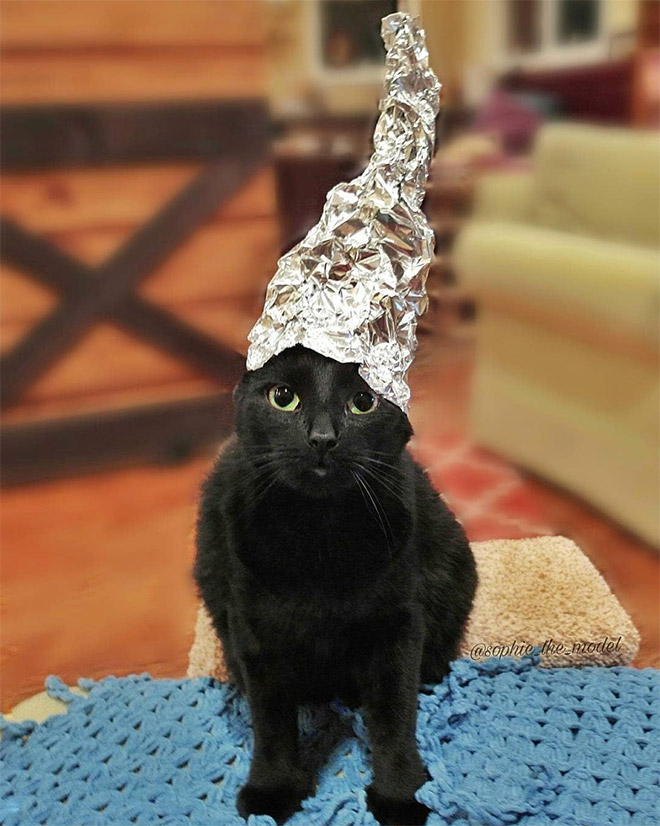 Tin foil hat protects from mind control!