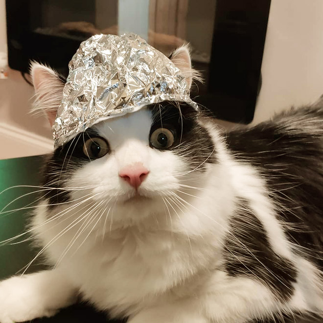 Tin foil hat protects from mind control!