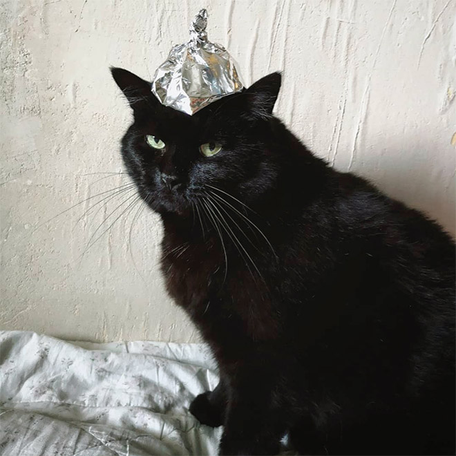 Tin foil hat protects from mind control!