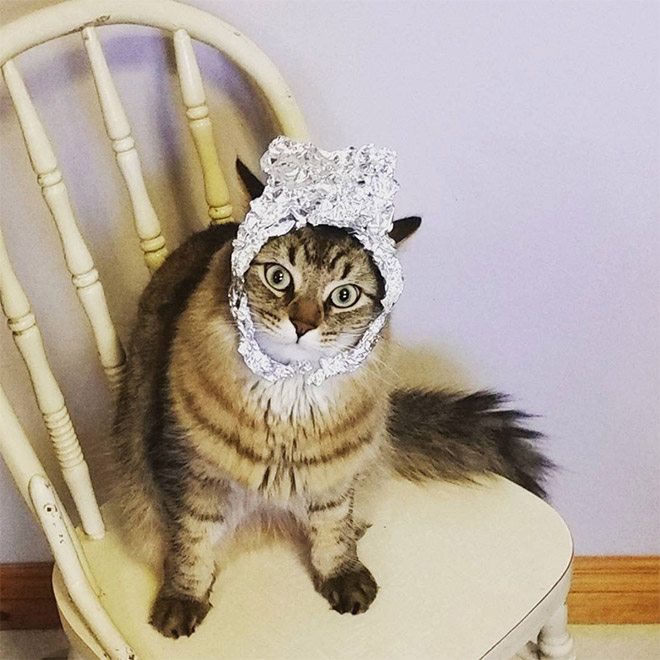 Tin foil hat protects from mind control!