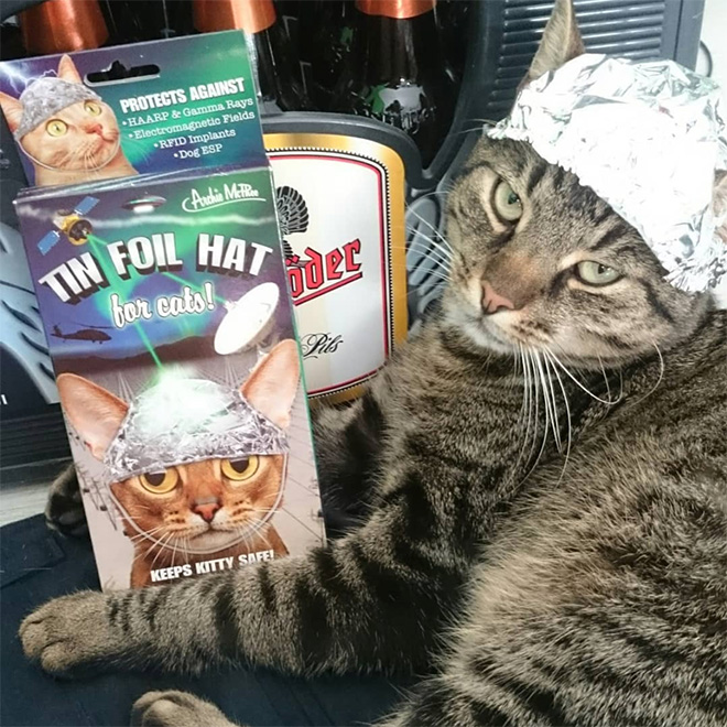 Tin foil hat protects from mind control!