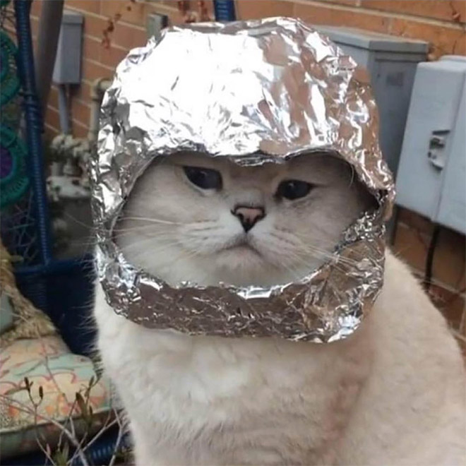 Did You Know That People Use Tinfoil Hats To Protect Cats From Mind Control...