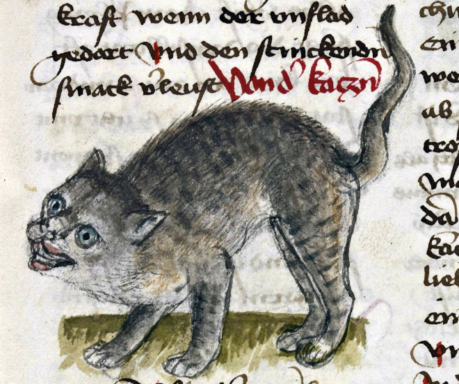 Ugly medieval painting of a cat.