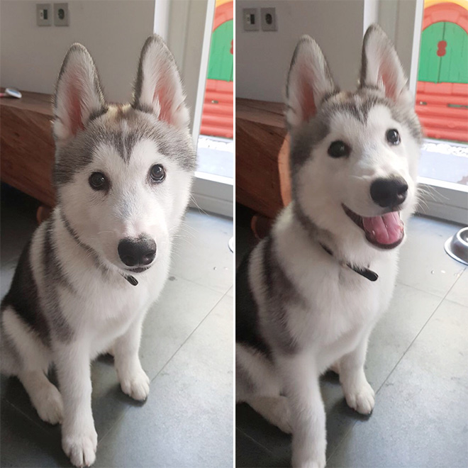 Before and after being told he's a good boy.