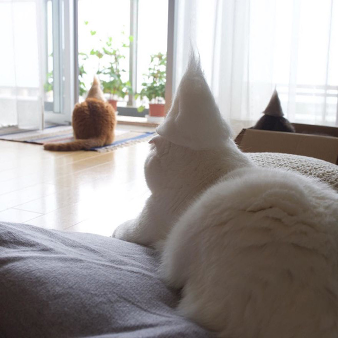 Cat fur art by Ryo Yamazaki.