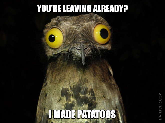 Potoo bird.