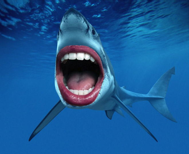 Sharks with human teeth look awesome!