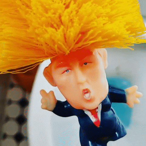 Trump toilet brush.