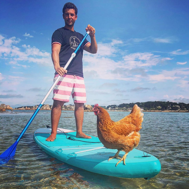 Sailing together with a pet chicken.